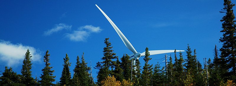 a picture of trees and a wind mill
